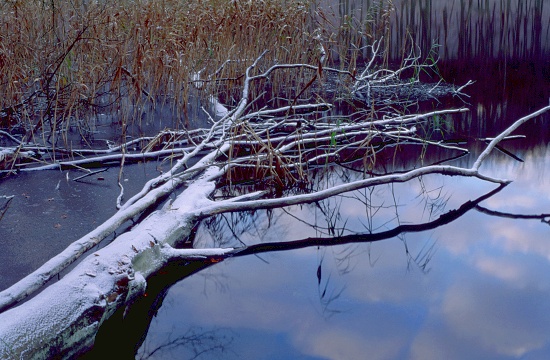 Log in Wezowka Lake