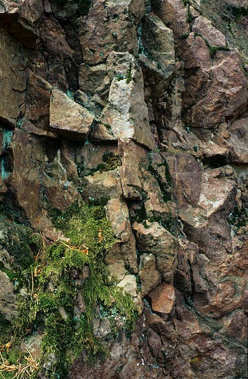 Devonian Rocks
